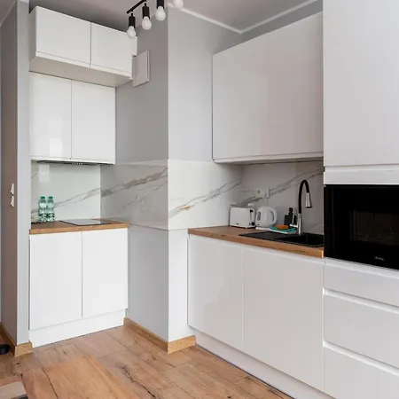 Wiktoryn Comfortable Two-room By Bookinghost